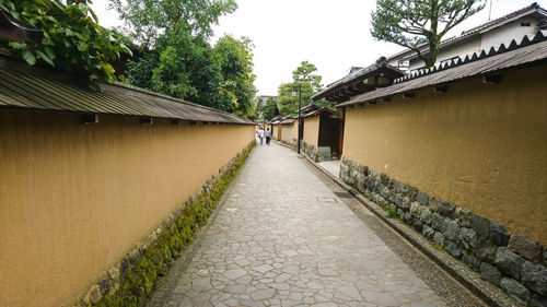 Walkway amidst trees against sky