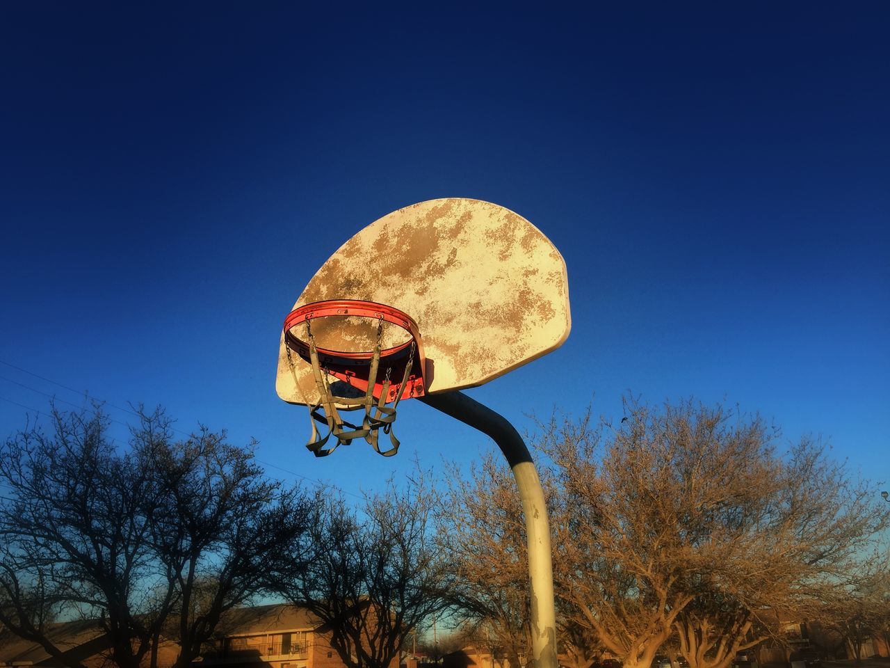 clear sky, blue, tree, low angle view, copy space, sky, transportation, outdoors, day, no people, bare tree, tranquility, nature, hot air balloon, sunlight, field, adventure, flying, mid-air, sport