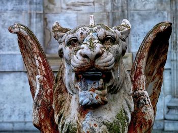Close up of plant against blurred background