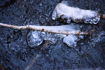 High angle view of frozen water