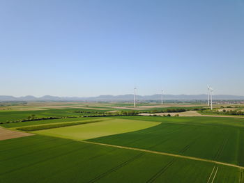 Scenic view of field against clear sky