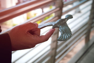 Close-up of hand holding bird