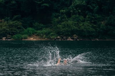 Man swimming in lake against trees