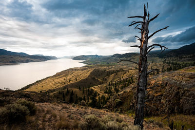 Scenic view of landscape and mountains against sky