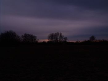 Silhouette trees on field against sky at dusk