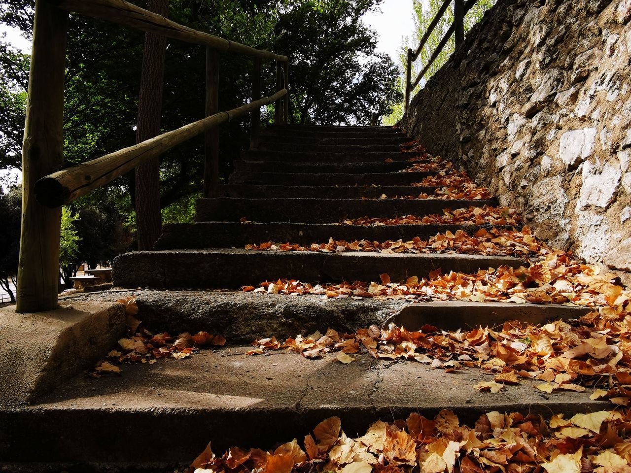 STAIRCASE IN SUNLIGHT