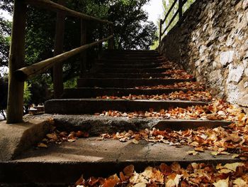 Sunlight falling on staircase