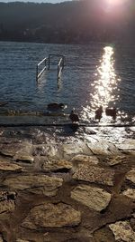 Scenic view of sea shore during sunset