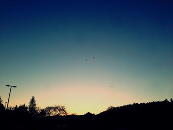 Silhouette of trees at sunset