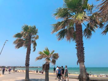 People by palm trees on beach against clear sky