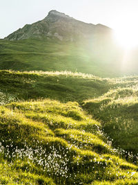 Scenic view of land against sky