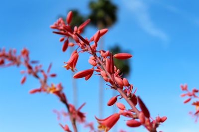 Plant views