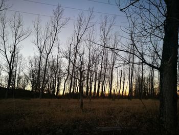 Silhouette bare trees on field against sky