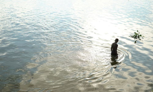 High angle view of swan swimming on lake