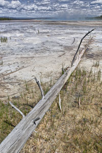 View of driftwood on beach