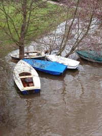 Boat moored on river in forest