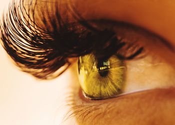 Close-up of human eye