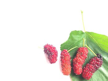 Close-up of strawberries
