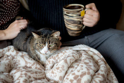 Midsection of person holding cat sitting on floor