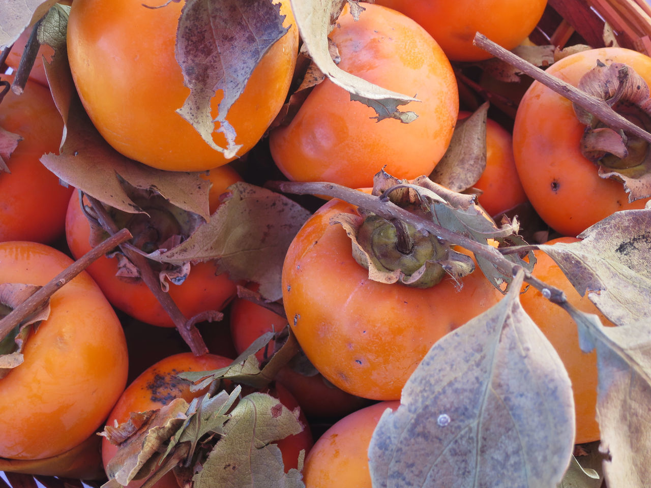 Fruits, fruit, season, autumn, ripe, persimmon, persimmon, harvest, basket, sale, grocer, greengrocer, calories, vitamin, basket, color,, matured, tender, delicate, fleshy pulp, variety, quality,