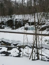 Bare trees on snow covered landscape