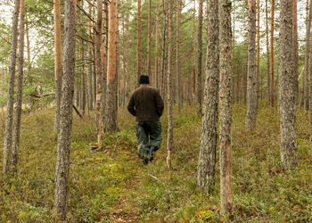 Rear view of man walking in forest