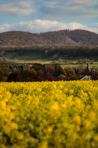 Scenic view of field against cloudy sky