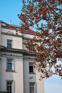 Low angle view of tree and building against sky