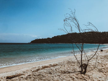 Scenic view of sea against clear blue sky