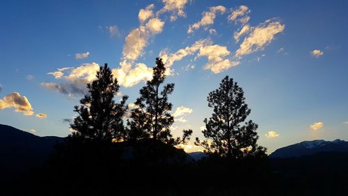 Low angle view of silhouette trees against sky