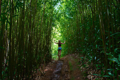 Rear view of person standing amidst trees in forest