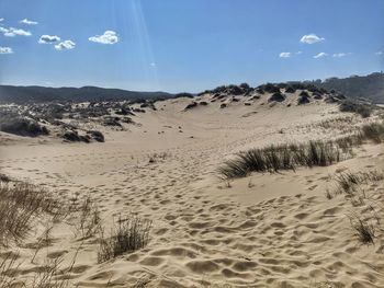 Scenic view of desert against sky