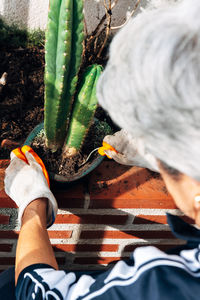 High angle view of man holding plants in yard