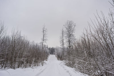 Snow covered land against sky