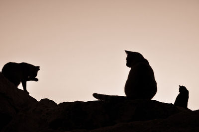 Silhouette of two men sitting on rock against sky