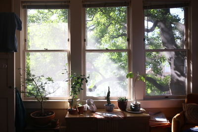 Table by window at home