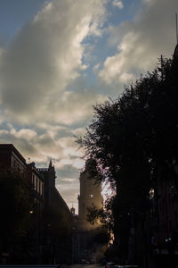 Low angle view of silhouette trees against sky