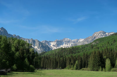 Panoramic shot of trees and mountains against sky