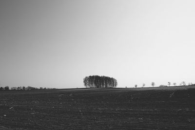 Scenic view of field against clear sky
