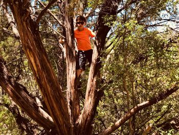 Low angle view of man hanging on tree