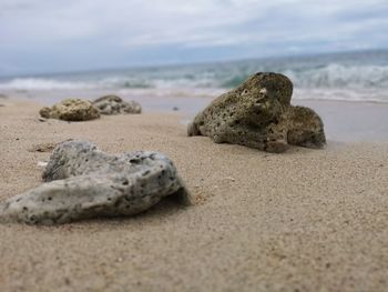 Surface level of rocks on beach against cloudy sky