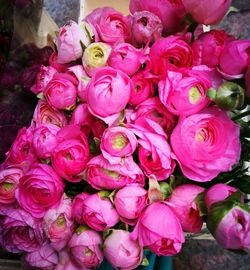 High angle view of pink flowers for sale