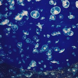 Close-up of bubbles