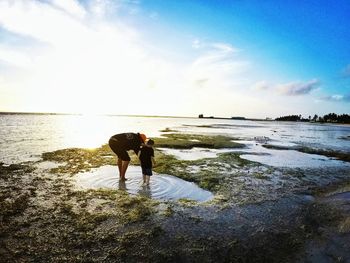 Full length of horse on beach against sky