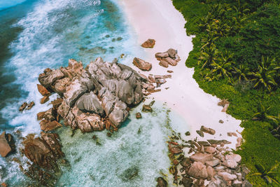 Aerial view of sea and beach