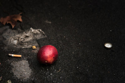 High angle view of apples on dry land