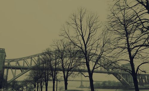 Bare trees against sky