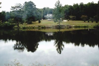 Reflection of trees in lake