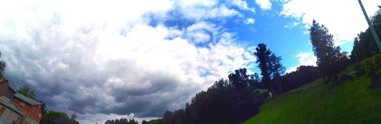 PANORAMIC SHOT OF TREES ON LANDSCAPE AGAINST SKY