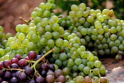 Close-up of grapes for sale in market